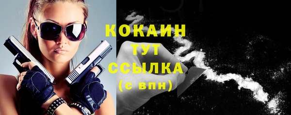 соль ск Надым