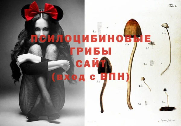 mdpv Навашино